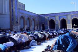 اعمال مسنون ، واعمال نا پسند عید سعید اضحی وکیفیت ادای نماز :ـ