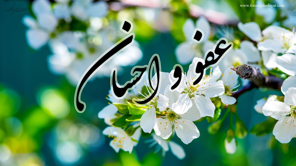 عفو و احسان
