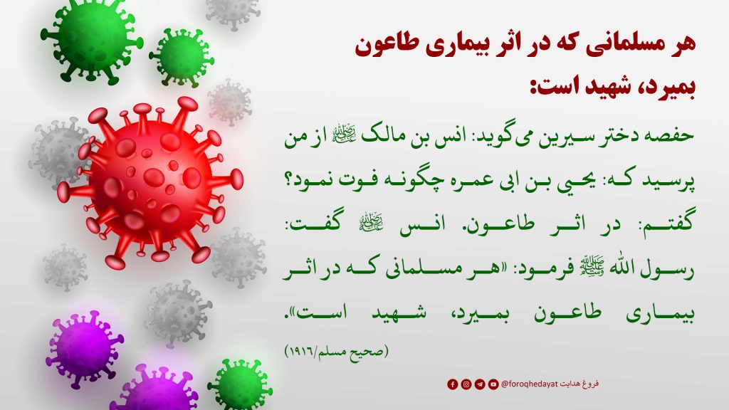 هر مسلمانی که در اثر بیماری طاعون بمیرد، شهید است